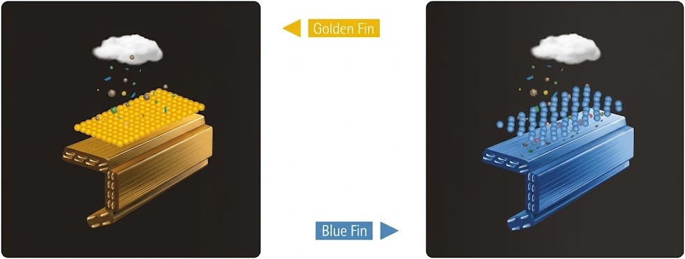 Golden Fin Giada.jpg